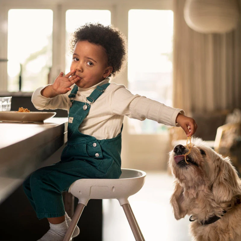 Maxi-Cosi Moa 8-in-1 High Chair - Image 38
